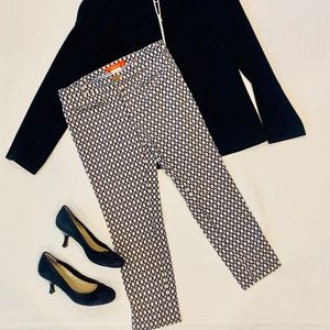 Anthropologie Navy/Cream Chinos